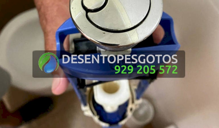 Canalizadores Misericórdia