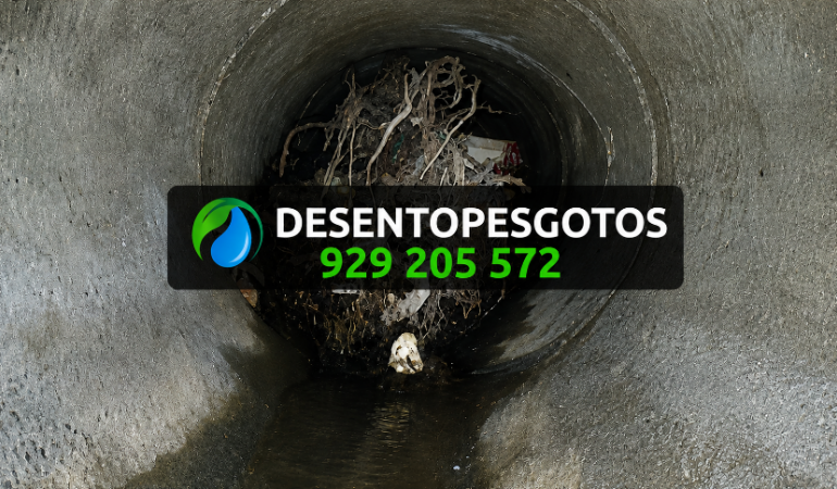 Desentupimento de canos com raízes