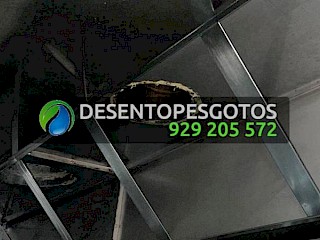 Limpeza de condutas de exaustão