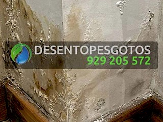 Deteção de infiltrações em coberturas, terraços e lajes