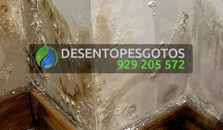 Deteção de infiltrações em coberturas, terraços e lajes