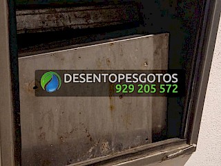 Limpeza de condutas de lixo
