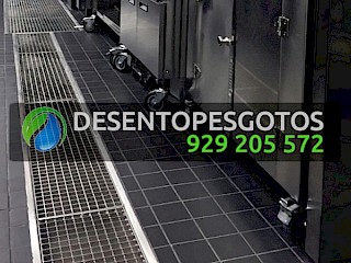 Setores